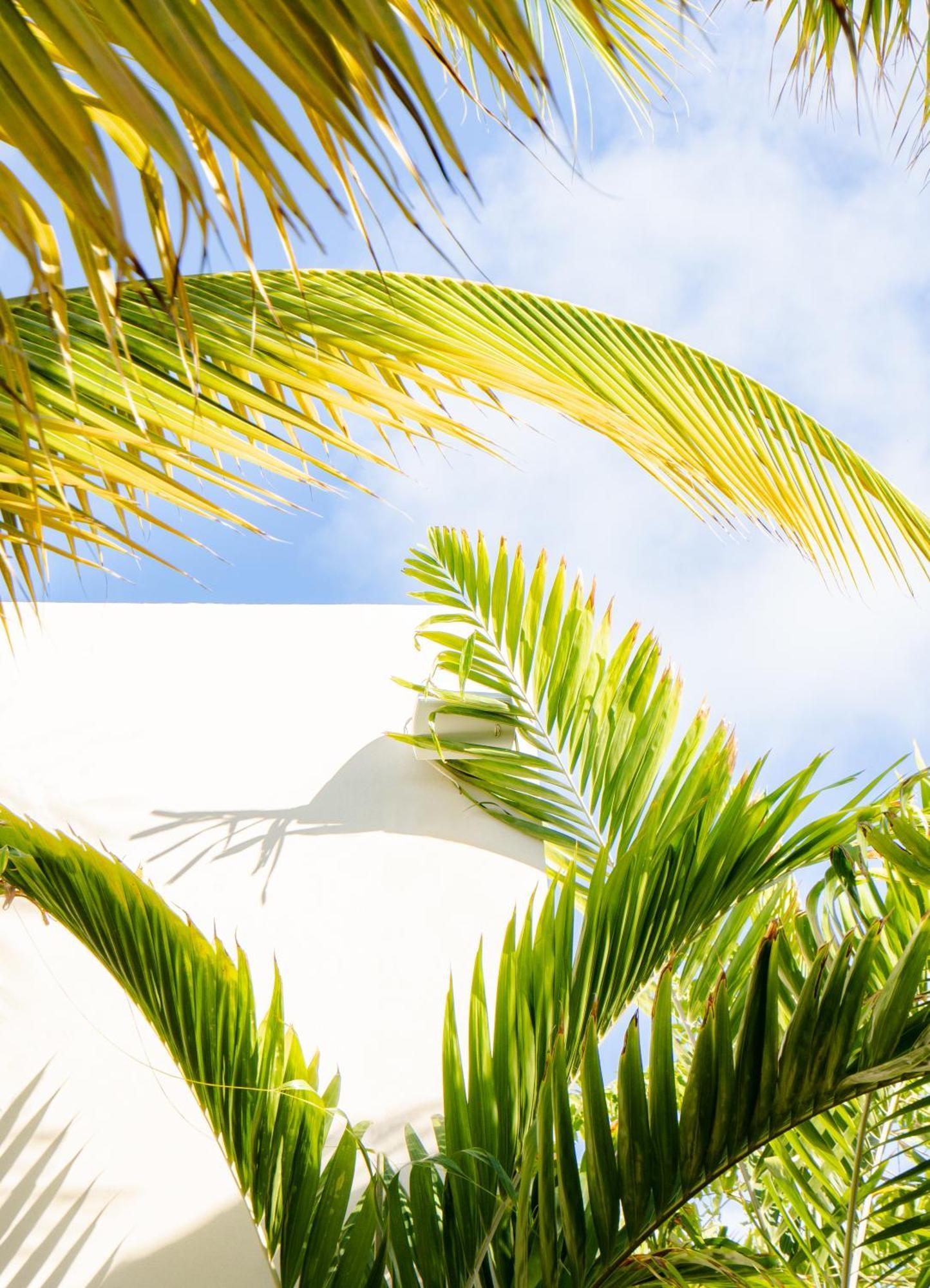 Le Martin Boutique Hotel Cul de Sac ภายนอก รูปภาพ